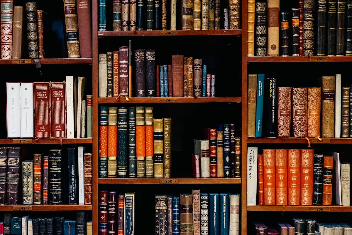 Ruang baca dan koleksi buku